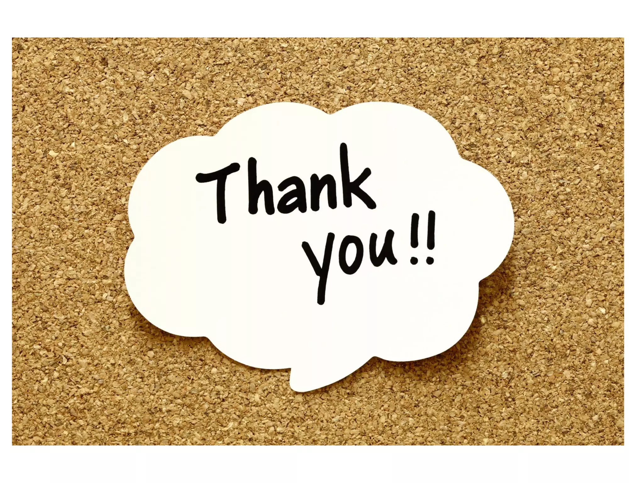 Chitin and Glucan synthesis in fungi