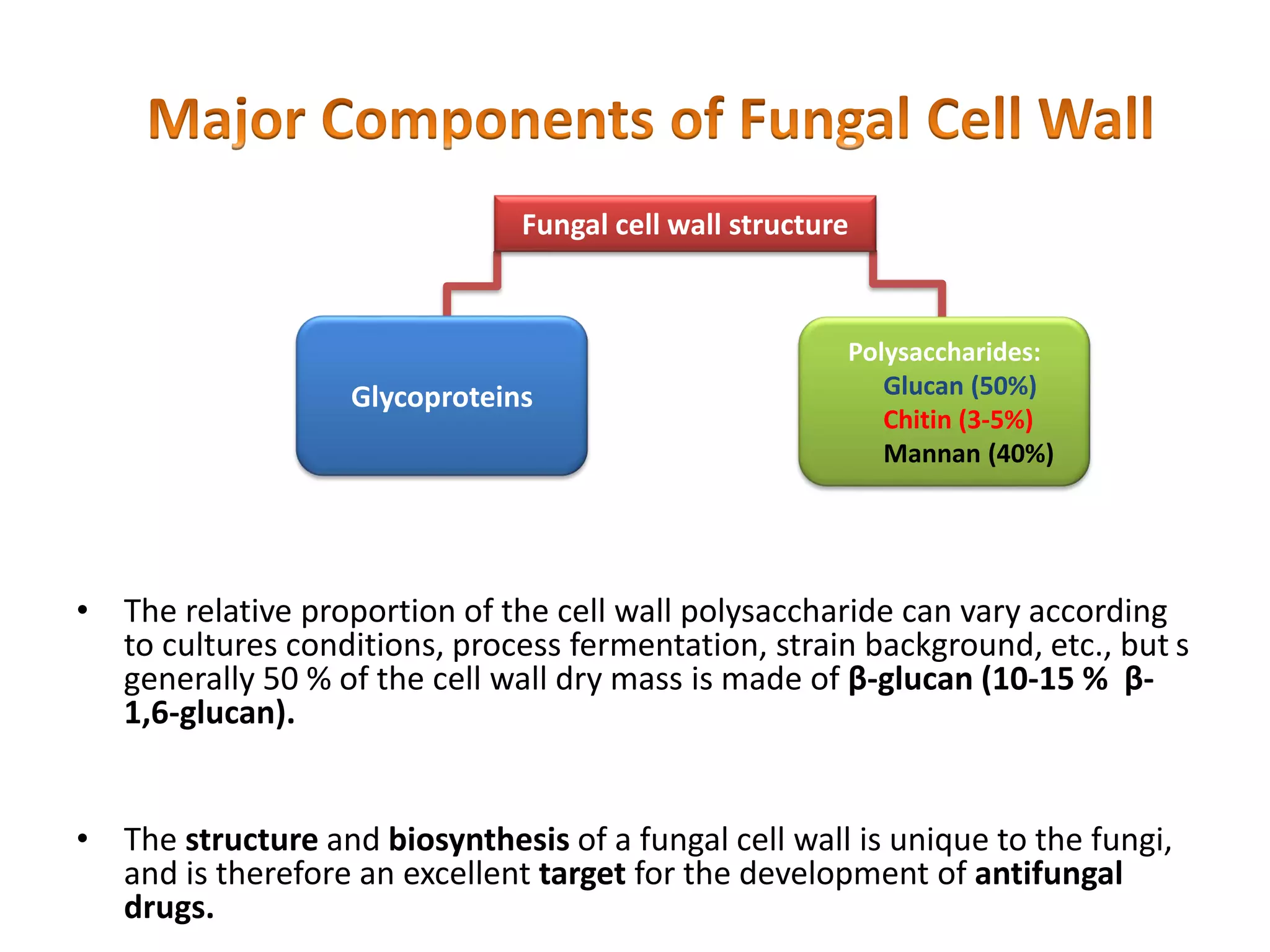 • The relative proportion of the cell wall polysaccharide can vary according
to cultures conditions, process fermentation, strain background, etc., but s
generally 50 % of the cell wall dry mass is made of β-glucan (10-15 % β-
1,6-glucan).
• The structure and biosynthesis of a fungal cell wall is unique to the fungi,
and is therefore an excellent target for the development of antifungal
drugs.
Fungal cell wall structure
Polysaccharides:
Glucan (50%)
Chitin (3-5%)
Mannan (40%)
Glycoproteins
 