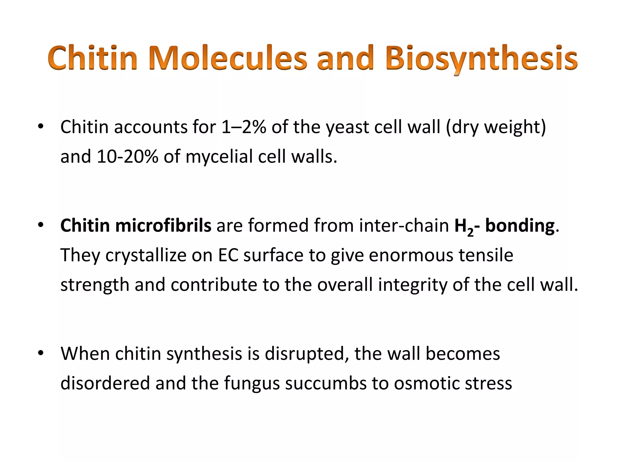 • Chitin accounts for 1–2% of the yeast cell wall (dry weight)
and 10-20% of mycelial cell walls.
• Chitin microfibrils are formed from inter-chain H2- bonding.
They crystallize on EC surface to give enormous tensile
strength and contribute to the overall integrity of the cell wall.
• When chitin synthesis is disrupted, the wall becomes
disordered and the fungus succumbs to osmotic stress
 