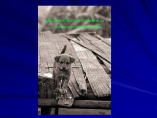 Chitlada upper gi bleeding 2