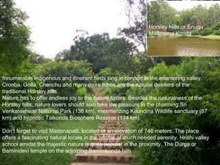 Horsley Hills or Enugu
                                                              Mallamma Konda




Innumerable indigenous and itinerant birds sing in concert in the enamoring valley.
Cronba, Golla, Chenchu and many more tribes are the natural dwellers of the
traditional Horsley hills.
Nature has to offer endless joy to the nature lovers. Besides the naturalness of the
Horsley hills, nature lovers should also take the pleasure in the charming Sri
Venkateshwar National Park (138 km), mesmerizing Koundina Wildlife sanctuary (87
km) and hypnotic Talkonda Biosphere Reserve (114 km).

Don’t forget to visit Madanapalli, located at an elevation of 746 meters. The place
offers a fascinating natural locale in the middle of much needed serenity. Hrishi valley
school amidst the majestic nature is quite popular in the proximity. The Durga or
Baminidevi temple on the adjoining Baminikonda hills
 