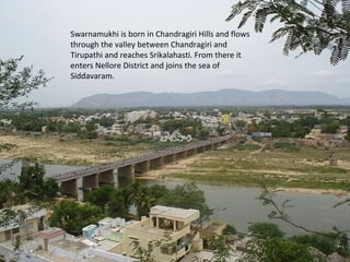 Swarnamukhi is born in Chandragiri Hills and flows
through the valley between Chandragiri and
Tirupathi and reaches Srikalahasti. From there it
enters Nellore District and joins the sea of
Siddavaram.
 