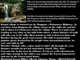 There are several natural ponds below the falls. Its situation in
                        There are several natural ponds below the falls. Its situation in
                       aaforest gives it and added advantage with natural unspoilt
                          forest gives it and added advantage with natural unspoilt
                       surroundings with plenty of exotic birds, shrubs, trees and
                        surroundings with plenty of exotic birds, shrubs, trees and
                       wildlife.
                        wildlife.


                       The falls is formed by the Kaigal stream which is one of the
                        The falls is formed by the Kaigal stream which is one of the
                       two streams to flow in the Koundinya Wildlife Sanctuary, the
                        two streams to flow in the Koundinya Wildlife Sanctuary, the
                       other being Koudinya stream.
                        other being Koudinya stream.
Kaigal village is situated on the Kuppam – Palamaner Highway. As
 Kaigal village is situated on the Kuppam – Palamaner Highway. As
you drive from Kuppam the village comes on the right site and the
 you drive from Kuppam the village comes on the right site and the
fall is about 2.5 kilometres from the village. There is a mud road
 fall is about 2.5 kilometres from the village. There is a mud road
leading to very close to the falls from where a short distance of walk
 leading to very close to the falls from where a short distance of walk
will take you to the falls. Best season to visit is between June and
 will take you to the falls. Best season to visit is between June and
October during the peak rain season. The falls is particularly
 October during the peak rain season. The falls is particularly
popular picnic destination for people from surrounding areas. its
 popular picnic destination for people from surrounding areas. its
very vast falls in AP.
 very vast falls in AP.
Weather: Kaigal valley enjoys good weather all through the year.
 Weather: Kaigal valley enjoys good weather all through the year.
Summer months do get hot sometimes. (April, May, June
 Summer months do get hot sometimes. (April, May, June
You can stay in the near by chittoor. If you are a bit adventurous
 You can stay in the near by chittoor. If you are a bit adventurous
and enjoy staying in the wild u can contact the Forest department
 and enjoy staying in the wild u can contact the Forest department
and stay in the Forest guest house.
 and stay in the Forest guest house.
Divisional Forest Officer (West), Chittoor, Phone : 08572-232458
 