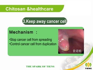 Chitosan &healthcare

           3.Keep away cancer cell

 Mechanism ：
 •Stop cancer cell from spreading
 •Control cancer cell from duplication
 