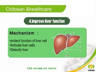Chitosan &healthcare

                 4.Improve liver function

 Mechanism ：
 •protect function of liver cell
 •Activate liver cells
 •Detoxify liver
 