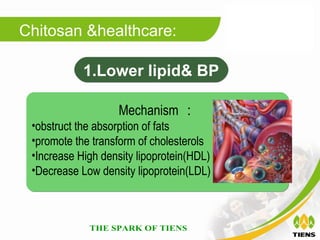 Chitosan &healthcare:

            1.Lower lipid& BP

                   Mechanism ：
 •obstruct the absorption of fats
 •promote the transform of cholesterols
 •Increase High density lipoprotein(HDL)
 •Decrease Low density lipoprotein(LDL)
 