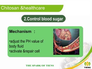 Chitosan &healthcare

            2.Control blood sugar

   Mechanism ：

   •adjust the PH value of
   body fluid
   •activate &repair cell
 