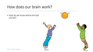 Evolution of Deep Learning
How does our brain work?
• How do we know where the ball
will fall?
3
 