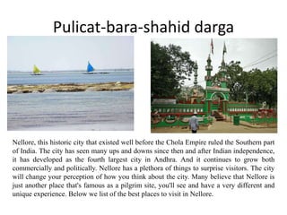 Pulicat-bara-shahid darga
Nellore, this historic city that existed well before the Chola Empire ruled the Southern part
of India. The city has seen many ups and downs since then and after Indian independence,
it has developed as the fourth largest city in Andhra. And it continues to grow both
commercially and politically. Nellore has a plethora of things to surprise visitors. The city
will change your perception of how you think about the city. Many believe that Nellore is
just another place that's famous as a pilgrim site, you'll see and have a very different and
unique experience. Below we list of the best places to visit in Nellore.
 