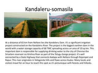 Kandaleru-somasila
At a distance of 65 km from Nellore lies the Kandeleru Dam. It's a significant irrigation
project constructed on the Kandaleru River. The project is the biggest earthen dam in the
world with a water storage capacity of 68 TMC spreading across an area of 10 sq km. This
important dam is responsible for supplying drinking water to the city of Chennai the
Srisailam reservoir on Krishna River as part of the Telugu Ganga project. It's well
connected by a State Highway that connects Kadapa with Nellore through Rajampet and
Rapur. This river originates in Velegonda hills and flows across Gudur. Many locals and
visitors travel for an hour to reach this spot as it's picturesque with forests and hillocks.
 