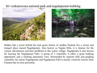 Sri venkateswara national park and nagulapuram trekking
Hidden like a jewel behind the lush green forests of Andhra Pradesh lies a serene and
tranquil place named Nagalapuram. Also known as Nagala Hills, it is famous for the
various adventurous activities proffered in this scenic village. Nagalpuram is also known
for housing the Nagalpuram Falls. A group of 3 waterfalls, it offers a great trekking
opportunity and a stunning panoramic view. Surrounded by majestic hills and gurgling
waterfalls, the serene Nagalapuram and Nagalpuram Falls is mostly visited by tourists from
Chennai due to close proximity.
 