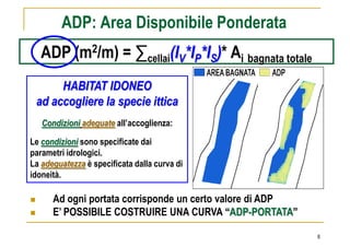 ADP: Area Disponibile Ponderata
   ADP (m2/m) = ∑cellai(IV*IP*IS)* Ai bagnata totale
      HABITAT IDONEO
 ad accogliere la specie ittica
   Condizioni adeguate all’accoglienza:

Le condizioni sono specificate dai
parametri idrologici.
La adeguatezza è specificata dalla curva di
idoneità.

      Ad ogni portata corrisponde un certo valore di ADP
      E’ POSSIBILE COSTRUIRE UNA CURVA “ADP-PORTATA”

                                                           8
 