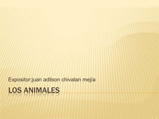 Expositor:juan adilson chivalan mejía

LOS ANIMALES
 
