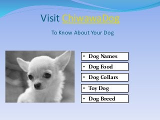 Visit ChiwawaDog
To Know About Your Dog
• Dog Food
• Dog Names
• Dog Collars
• Toy Dog
• Dog Breed
 