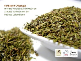 Fundación	
  Chiyangua	
  
Hierbas	
  y	
  especies	
  cul.vadas	
  en	
  
azoteas	
  tradicionales	
  del	
  
Pacíﬁco	
  Colombiano	
  
 
