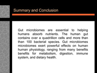 GUT MICROBIOME IMPACT ON HUMAN GASTROINTESTINAL TRACT | PPT