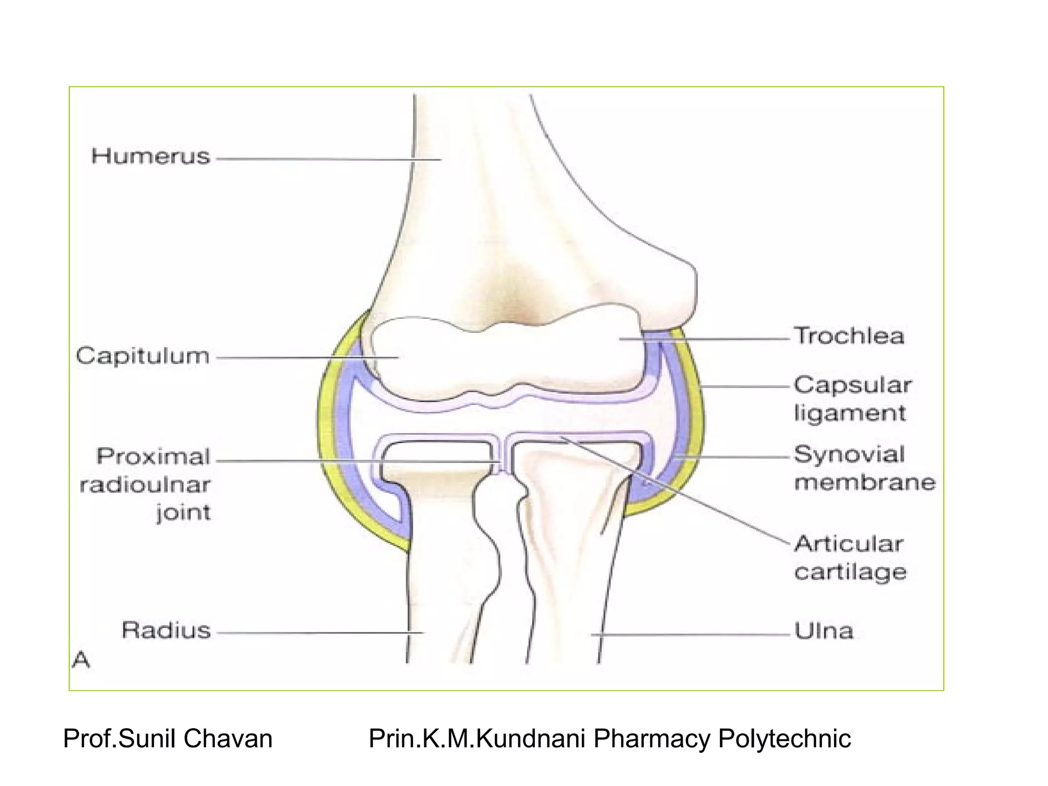 Prof.Sunil Chavan Prin.K.M.Kundnani Pharmacy Polytechnic
 