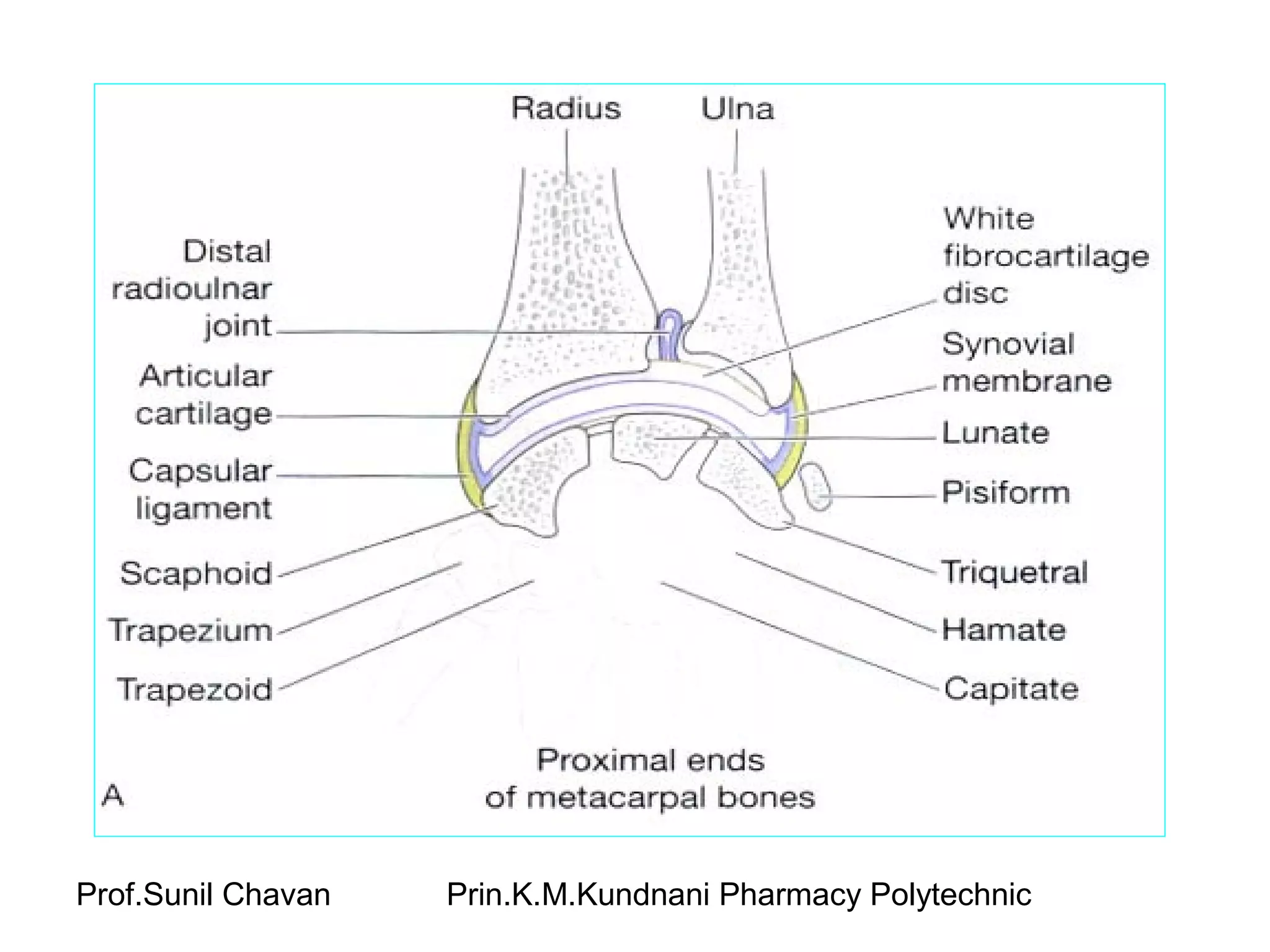 Prof.Sunil Chavan Prin.K.M.Kundnani Pharmacy Polytechnic
 