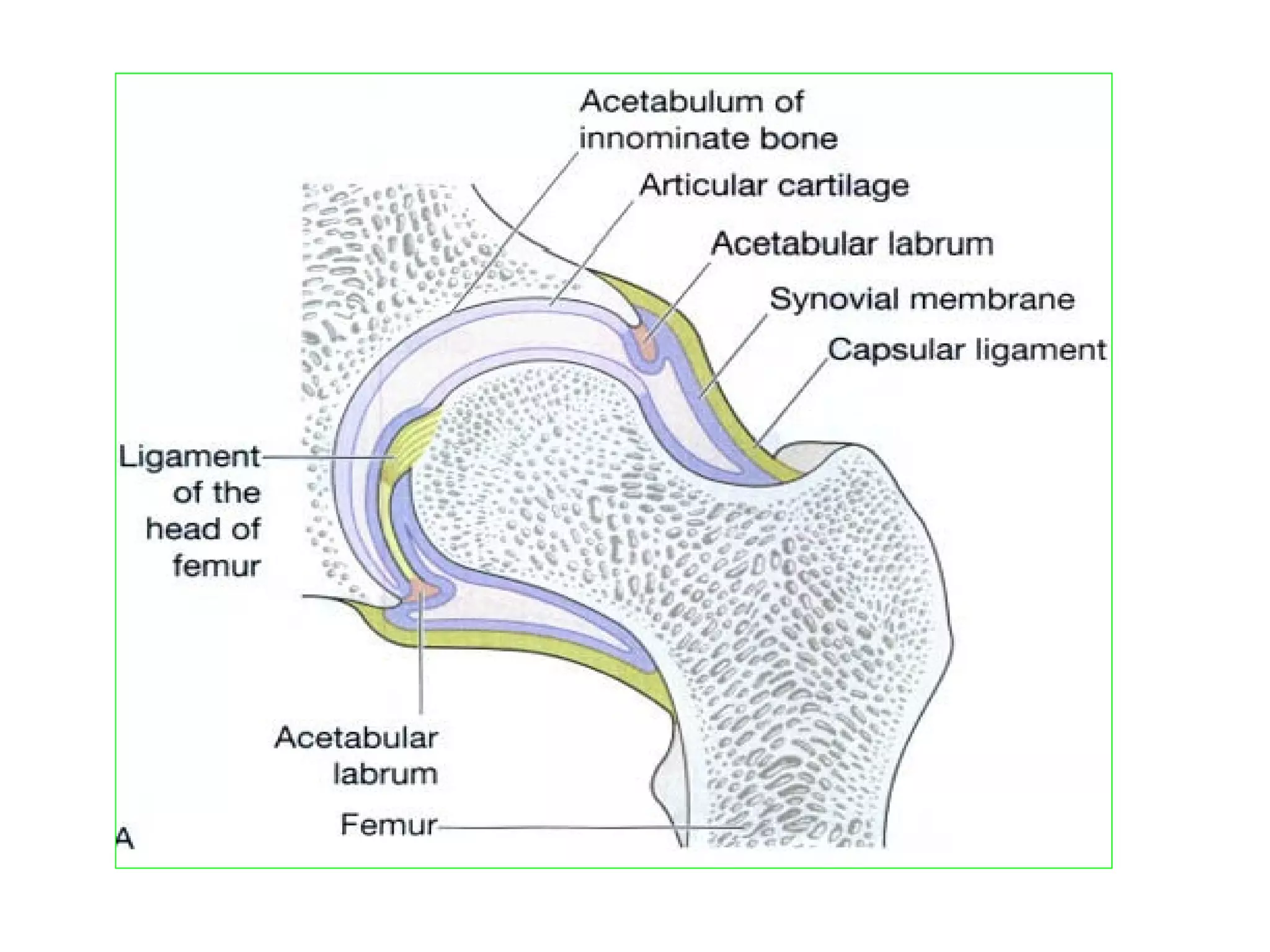 Prof.Sunil Chavan Prin.K.M.Kundnani Pharmacy Polytechnic
 