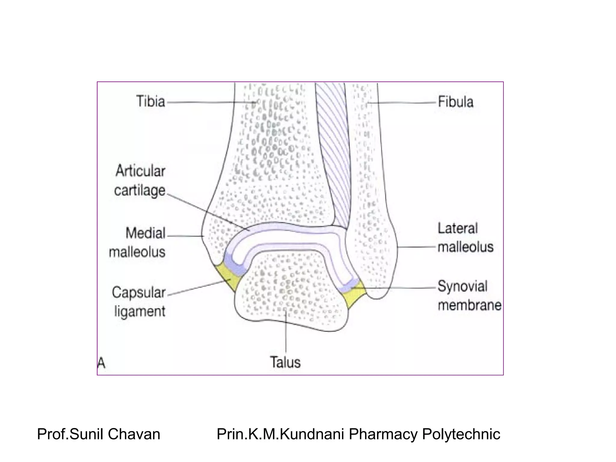 Prof.Sunil Chavan Prin.K.M.Kundnani Pharmacy Polytechnic
 