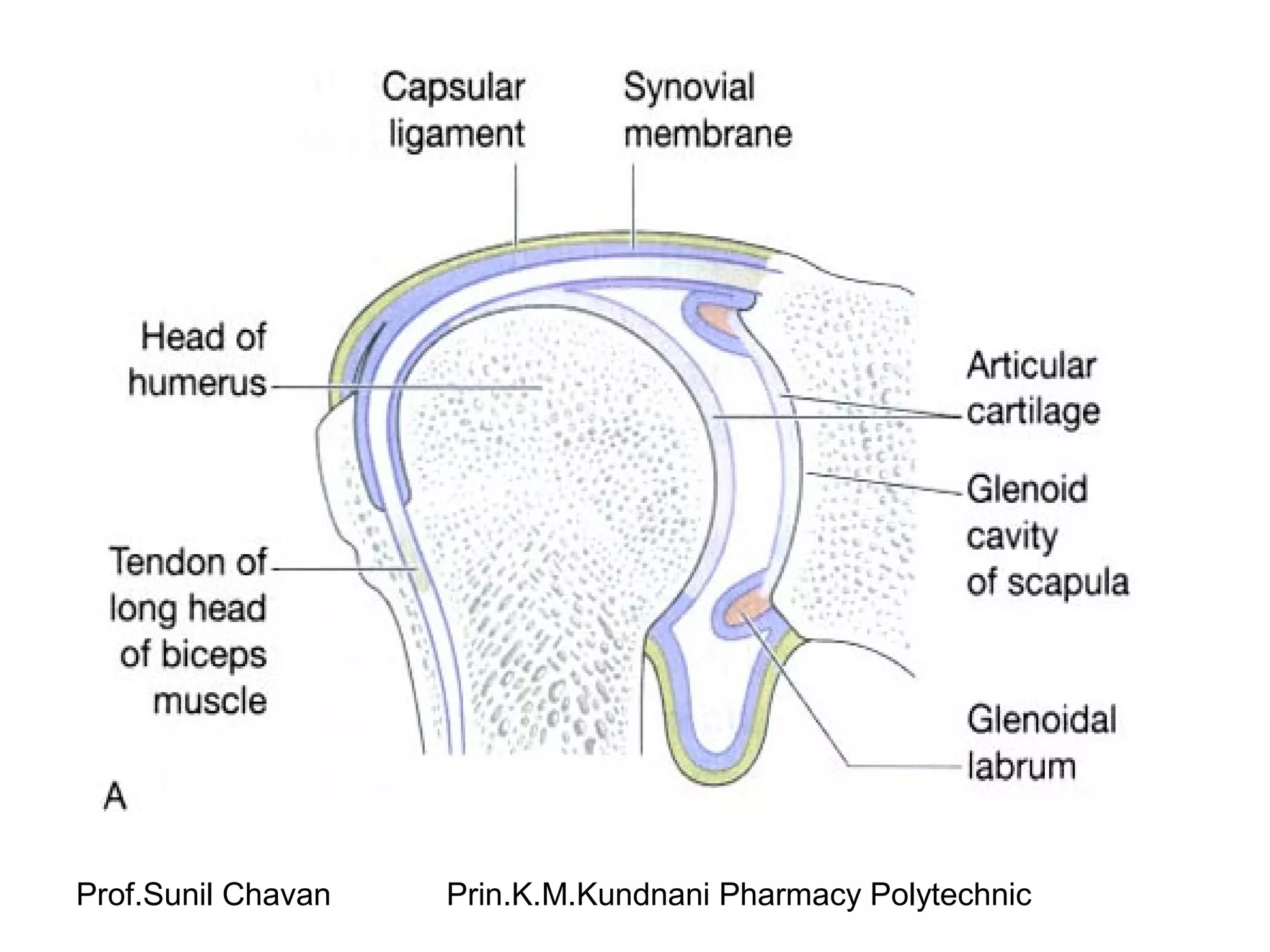 Prof.Sunil Chavan Prin.K.M.Kundnani Pharmacy Polytechnic
 