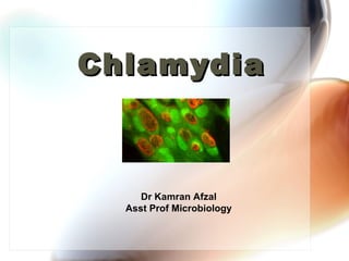 Chlamydia



     Dr Kamran Afzal
  Asst Prof Microbiology
 