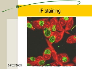IF staining




24/02/2008   Dr Ekta, Microbiology, GMCA
 