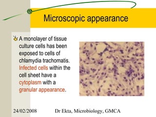 Microscopic appearance

  A monolayer of tissue
  culture cells has been
  exposed to cells of
  chlamydia trachomatis.
  Infected cells within the
  cell sheet have a
  cytoplasm with a
  granular appearance.


24/02/2008         Dr Ekta, Microbiology, GMCA
 