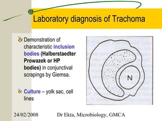 Laboratory diagnosis of Trachoma

    Demonstration of
    characteristic inclusion
    bodies (Halberstaedter
    Prowazek or HP
    bodies) in conjunctival
    scrapings by Giemsa.

    Culture – yolk sac, cell
    lines

24/02/2008          Dr Ekta, Microbiology, GMCA
 