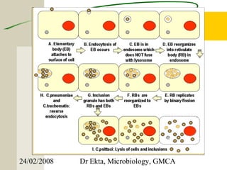 24/02/2008   Dr Ekta, Microbiology, GMCA
 