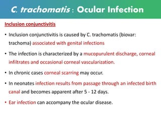 C. trachomatis : Ocular Infection
Inclusion conjunctivitis
• Inclusion conjunctivitis is caused by C. trachomatis (biovar:
trachoma) associated with genital infections
• The infection is characterized by a mucopurulent discharge, corneal
infiltrates and occasional corneal vascularization.
• In chronic cases corneal scarring may occur.
• In neonates infection results from passage through an infected birth
canal and becomes apparent after 5 - 12 days.
• Ear infection can accompany the ocular disease.
 
