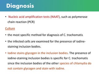 Chlamydia - The silent killer | PDF