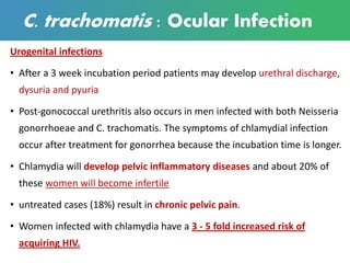 C. trachomatis : Ocular Infection
Urogenital infections
• After a 3 week incubation period patients may develop urethral discharge,
dysuria and pyuria
• Post-gonococcal urethritis also occurs in men infected with both Neisseria
gonorrhoeae and C. trachomatis. The symptoms of chlamydial infection
occur after treatment for gonorrhea because the incubation time is longer.
• Chlamydia will develop pelvic inflammatory diseases and about 20% of
these women will become infertile
• untreated cases (18%) result in chronic pelvic pain.
• Women infected with chlamydia have a 3 - 5 fold increased risk of
acquiring HIV.
 