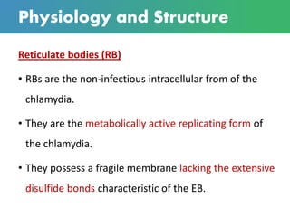 Physiology and Structure
Reticulate bodies (RB)
• RBs are the non-infectious intracellular from of the
chlamydia.
• They are the metabolically active replicating form of
the chlamydia.
• They possess a fragile membrane lacking the extensive
disulfide bonds characteristic of the EB.
 