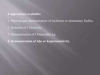 Chlamydia | PPTX