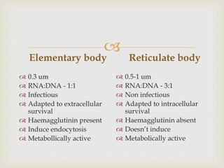 
Elementary body
 0.3 um
 RNA:DNA - 1:1
 Infectious
 Adapted to extracellular
survival
 Haemagglutinin present
 Induce endocytosis
 Metabollically active
Reticulate body
 0.5-1 um
 RNA:DNA - 3:1
 Non infectious
 Adapted to intracellular
survival
 Haemagglutinin absent
 Doesn’t induce
 Metabolically active
 