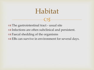 
 The gastrointestinal tract - usual site
 Infections are often subclinical and persistent.
 Faecal shedding of the organisms
 EBs can survive in environment for several days.
Habitat
 