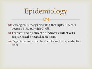
 Serological surveys revealed that upto 10% cats
become infected with C. felis
 Transmitted by direct or indirect contact with
conjunctival or nasal secretions.
 Organisms may also be shed from the reproductive
tract
Epidemiology
 