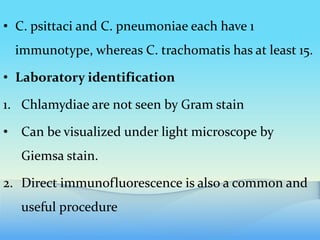 • C. psittaci and C. pneumoniae each have 1
immunotype, whereas C. trachomatis has at least 15.
• Laboratory identification
1. Chlamydiae are not seen by Gram stain
• Can be visualized under light microscope by
Giemsa stain.
2. Direct immunofluorescence is also a common and
useful procedure
 