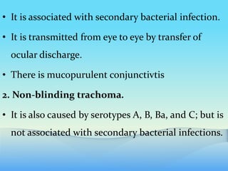 • It is associated with secondary bacterial infection.
• It is transmitted from eye to eye by transfer of
ocular discharge.
• There is mucopurulent conjunctivtis
2. Non-blinding trachoma.
• It is also caused by serotypes A, B, Ba, and C; but is
not associated with secondary bacterial infections.
 