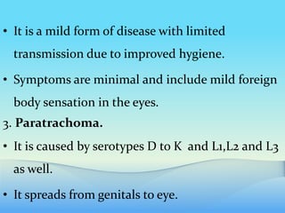 • It is a mild form of disease with limited
transmission due to improved hygiene.
• Symptoms are minimal and include mild foreign
body sensation in the eyes.
3. Paratrachoma.
• It is caused by serotypes D to K and L1,L2 and L3
as well.
• It spreads from genitals to eye.
 
