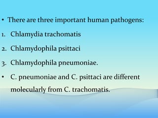 • There are three important human pathogens:
1. Chlamydia trachomatis
2. Chlamydophila psittaci
3. Chlamydophila pneumoniae.
• C. pneumoniae and C. psittaci are different
molecularly from C. trachomatis.
 