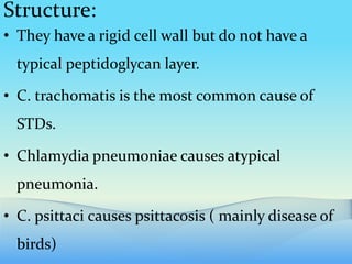 Structure:
• They have a rigid cell wall but do not have a
typical peptidoglycan layer.
• C. trachomatis is the most common cause of
STDs.
• Chlamydia pneumoniae causes atypical
pneumonia.
• C. psittaci causes psittacosis ( mainly disease of
birds)
 