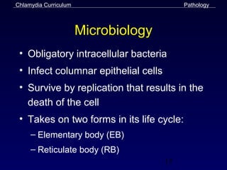 Chlamydia Curriculum                       Pathology



                       Microbiology
 • Obligatory intracellular bacteria
 • Infect columnar epithelial cells
 • Survive by replication that results in the
   death of the cell
 • Takes on two forms in its life cycle:
     – Elementary body (EB)
     – Reticulate body (RB)
                                      13
 