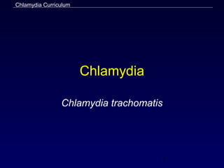 Chlamydia Curriculum




                       Chlamydia

                Chlamydia trachomatis




                                        1
 