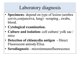 Chlamydia and mycoplasma | PPTX