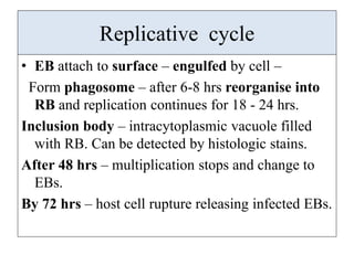 Chlamydia and mycoplasma | PPTX