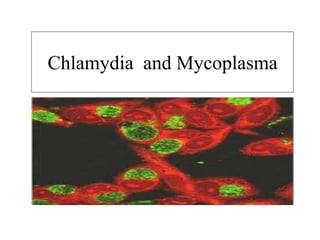 Chlamydia and Mycoplasma
 