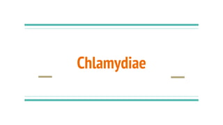 Chlamydiae
 