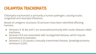 CHLAMYDIA TRACHOMATIS
Chlamydia trachomatis is primarily a human pathogen, causing ocular,
urogenital and neonatal infections.
Based on antigenic structure,18 serovars have been identified affecting
humans.
● Serovars A, B, Ba and C are associated primarily with ocular disease called
trachoma.
● Serovars D-K are associated with oculogenital disease, which may be
transmined to neonates.
● Serovars L1-L3 causes a sexually transmined disease, lymphogranuloma
venereum (LGV).
 